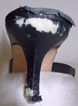 Dog Bit Jimmy Choo