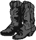 Western Boot Repair from Shoe Savers